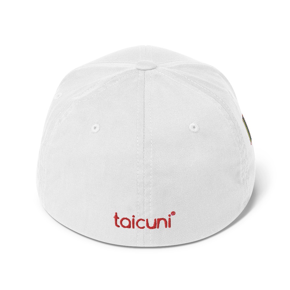 Taicuni White Logo Cap - Image 3